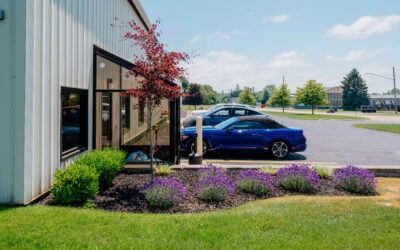 Manistee Dr. Shrink’s Office Transformation